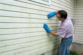 Best Insulated Siding Installation  in Maitland, FL